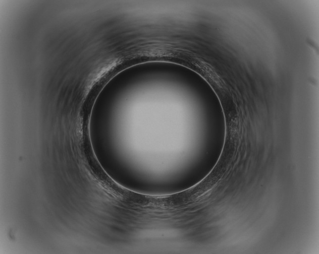 X0000091700727200708311053
