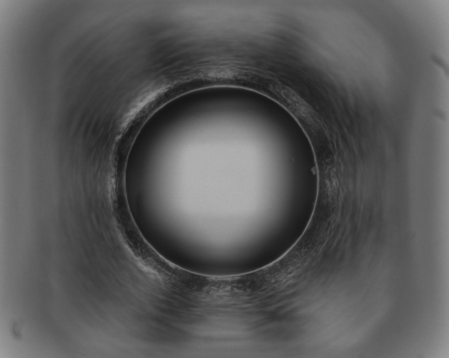 X0000091700728200708311053