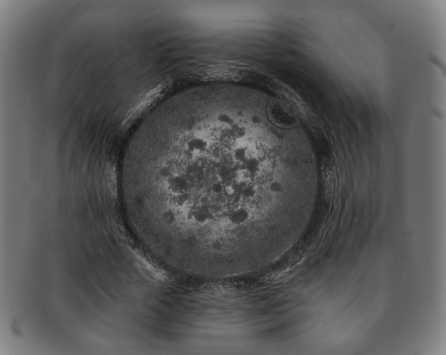 X0000091700729200708311053