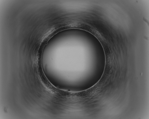 X0000091700730200708311053