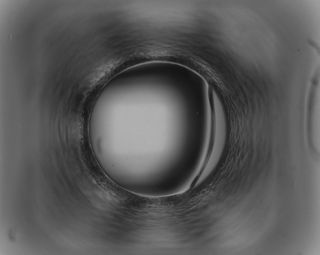 X0000091700732200708311053