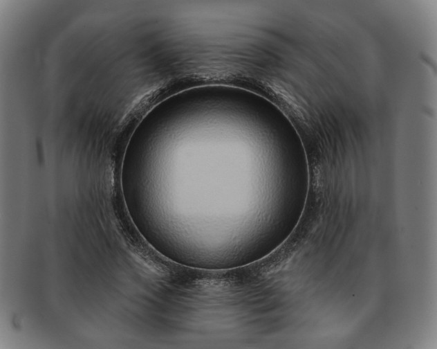 X0000091700733200708311053