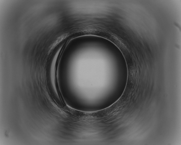 X0000091700734200708311053