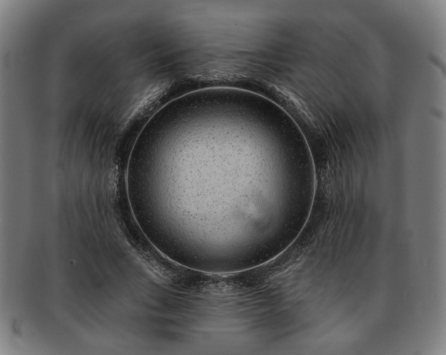 X0000091700735200708311053