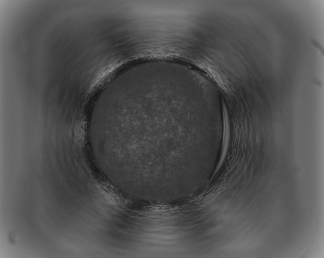 X0000091700736200708311053