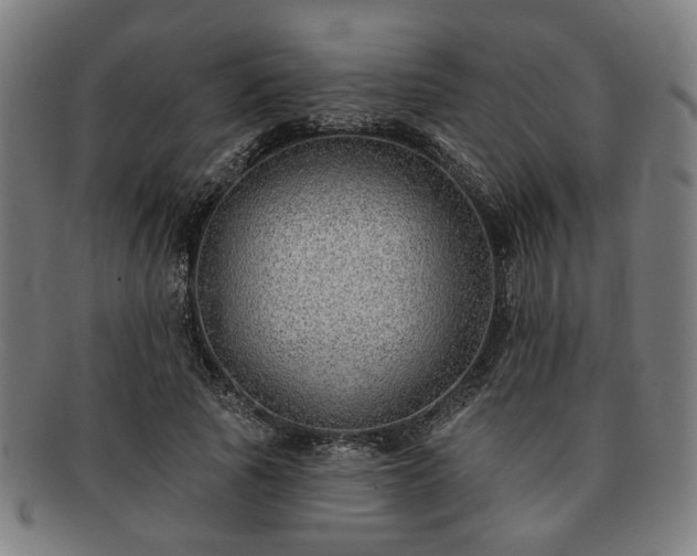 X0000091700737200708311053