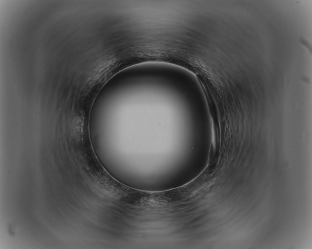 X0000091700739200708311053
