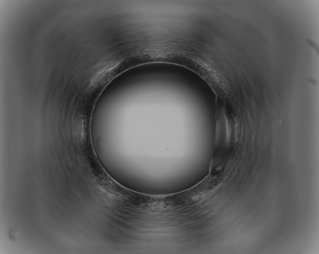 X0000091700740200708311053