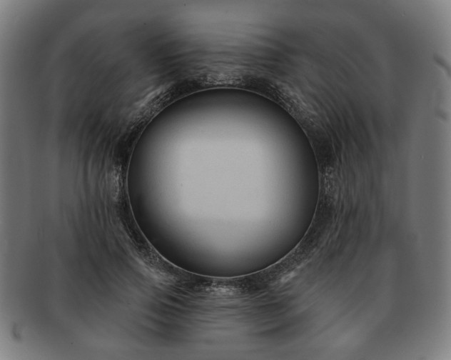 X0000091700741200708311053