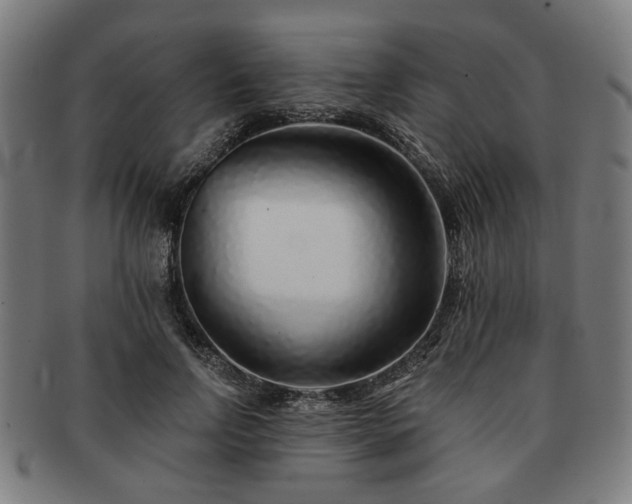 X0000091700742200708311053