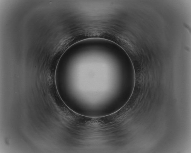 X0000091700743200708311053