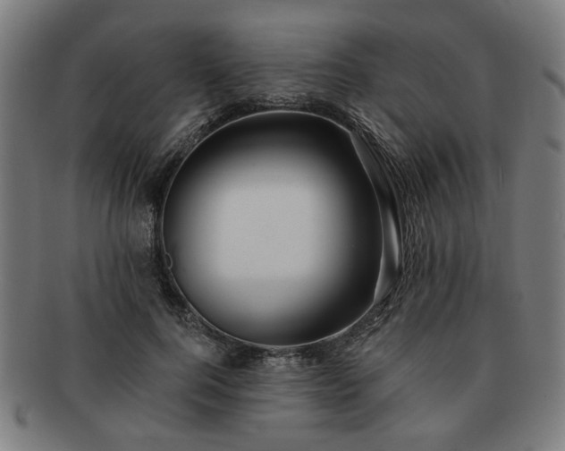 X0000091700744200708311053