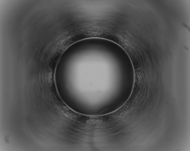 X0000091700745200708311053