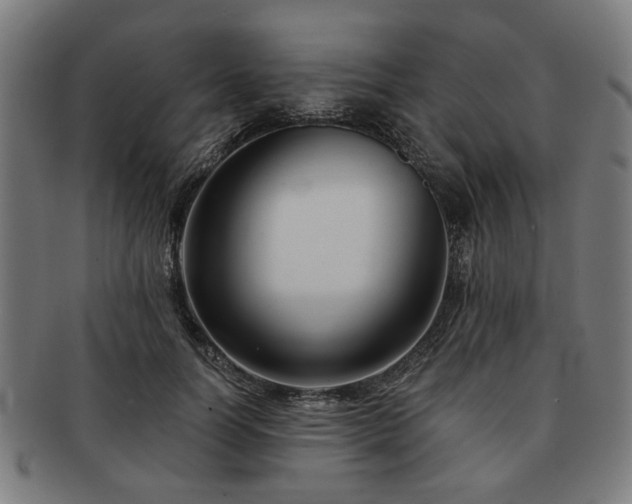 X0000091700746200708311053
