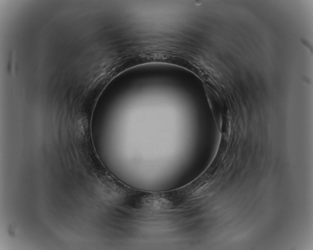 X0000091700747200708311053