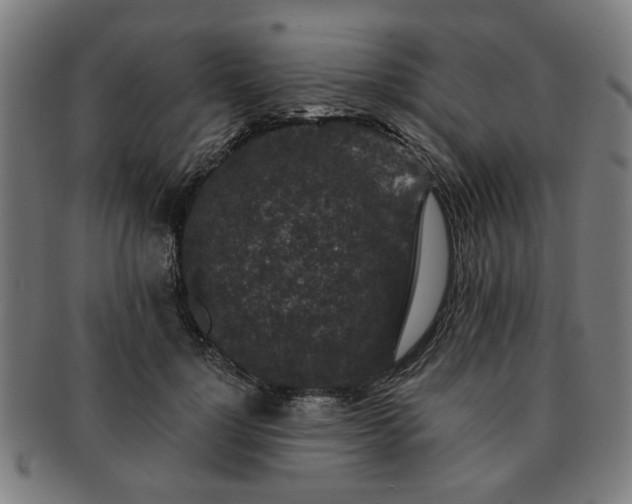 X0000091700748200708311053