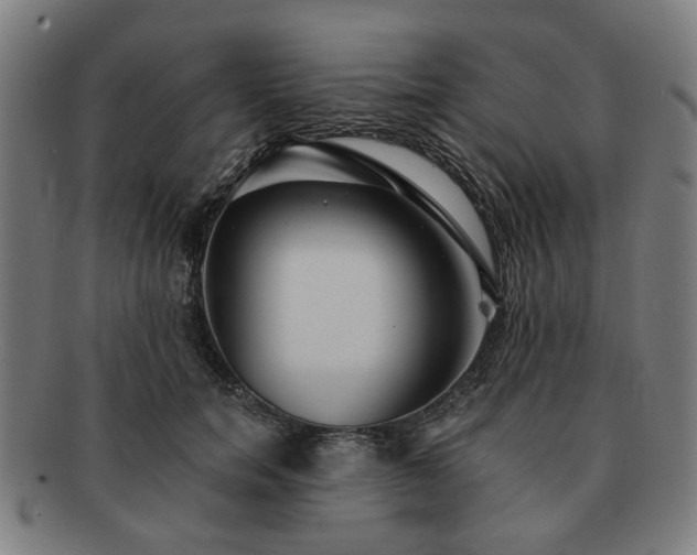 X0000091700750200708311053