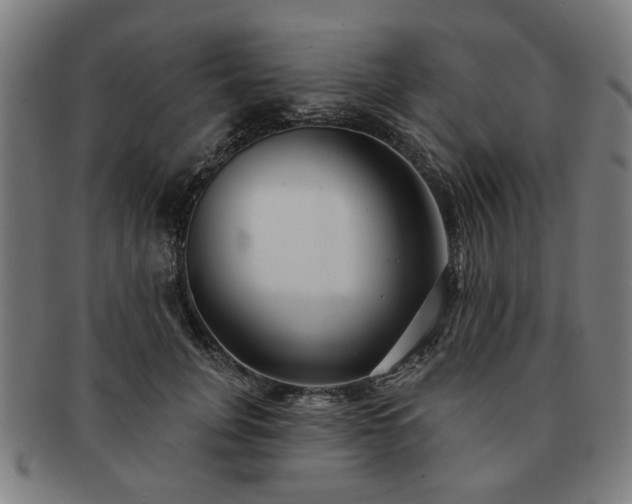 X0000091700751200708311053