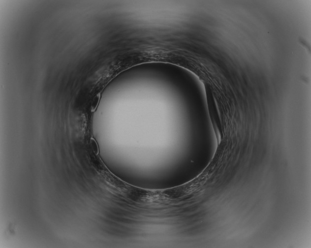X0000091700752200708311053