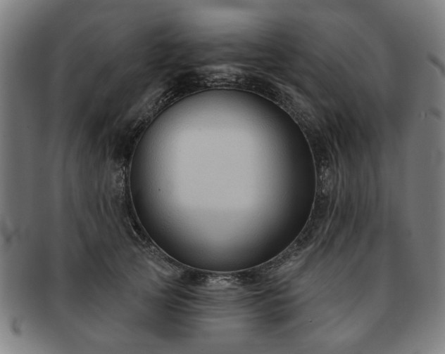 X0000091700753200708311053