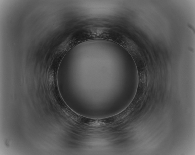 X0000091700754200708311053