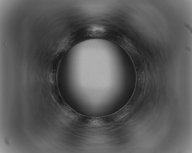 X0000091700755200708311053