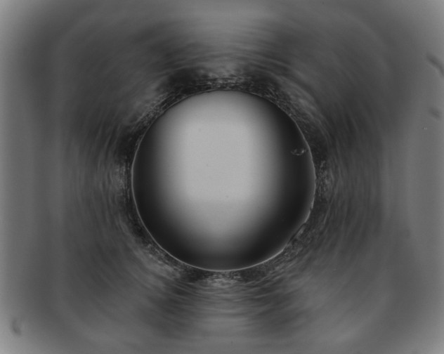 X0000091700756200708311053