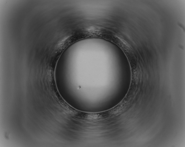 X0000091700757200708311053