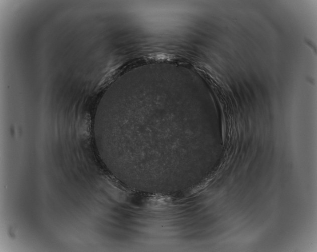 X0000091700760200708311053