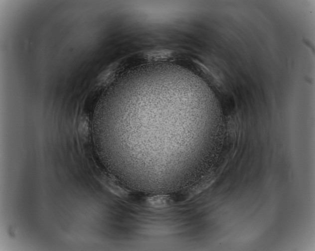 X0000091700761200708311053