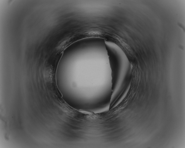 X0000091700762200708311053