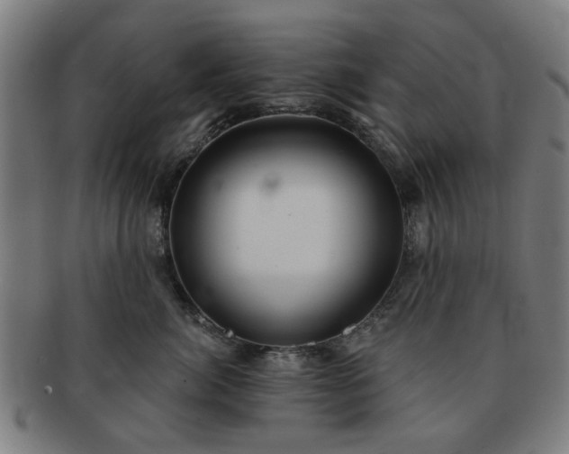X0000091700764200708311053