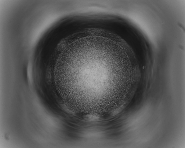 X0000091700765200708311053
