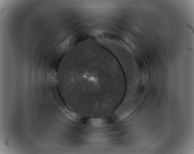 X0000091700766200708311053