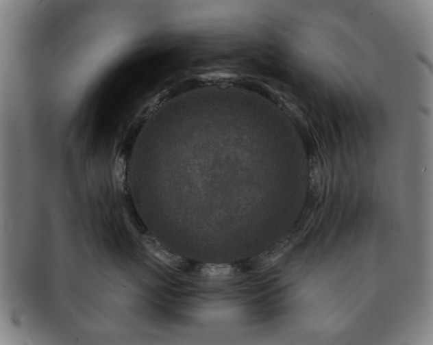 X0000091700767200708311053