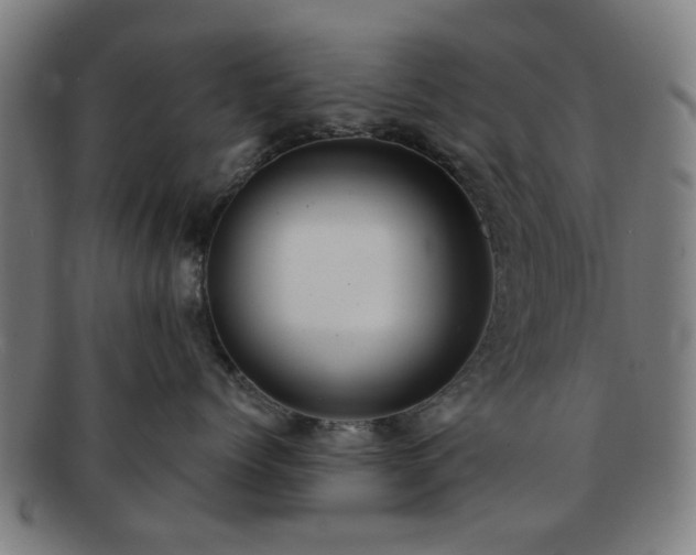 X0000091700768200708311053