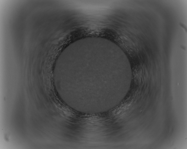 X0000091700769200708311053