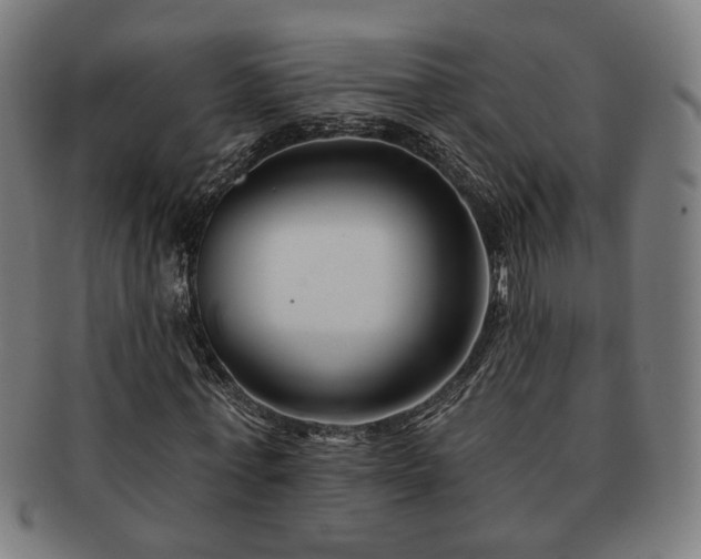 X0000091700771200708311053