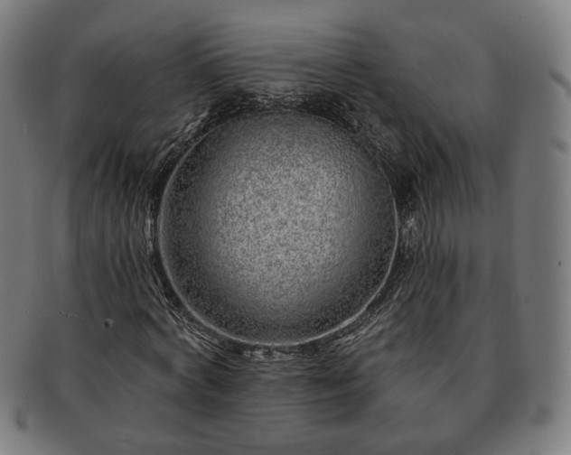 X0000091700772200708311052