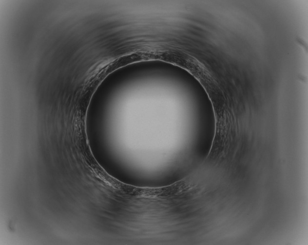 X0000091700773200708311052