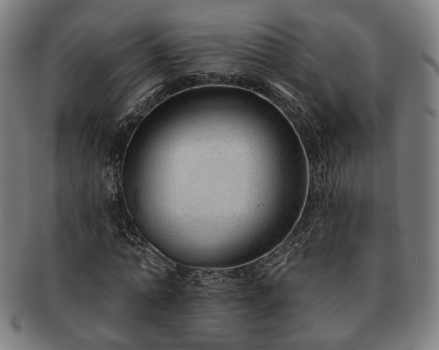X0000091700774200708311052