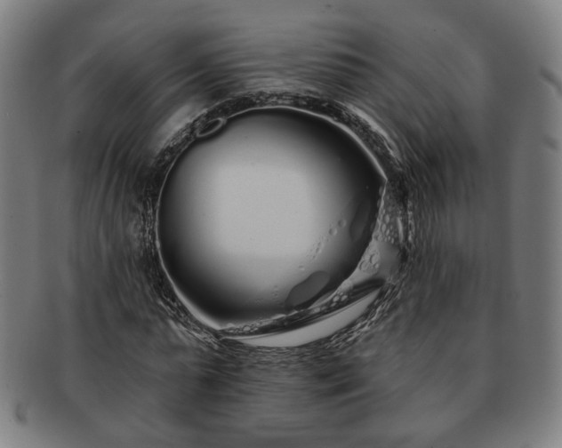 X0000091700775200708311052