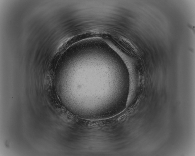 X0000091700776200708311052