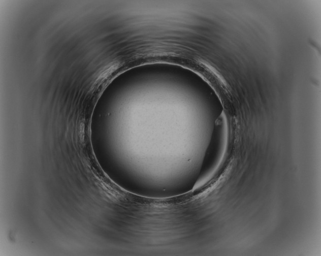 X0000091700777200708311052