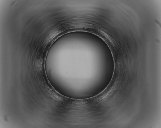 X0000091700778200708311052