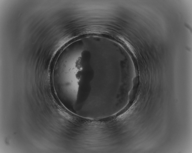 X0000091700779200708311052