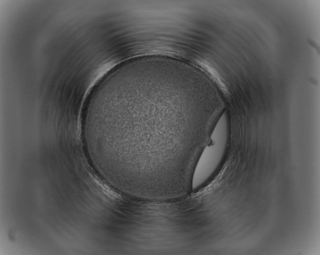 X0000091700780200708311052