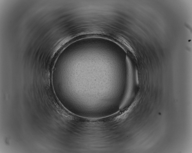 X0000091700781200708311052