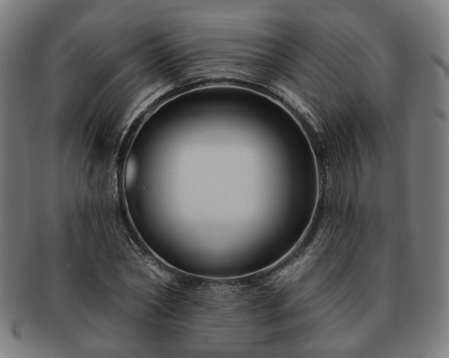 X0000091700782200708311052