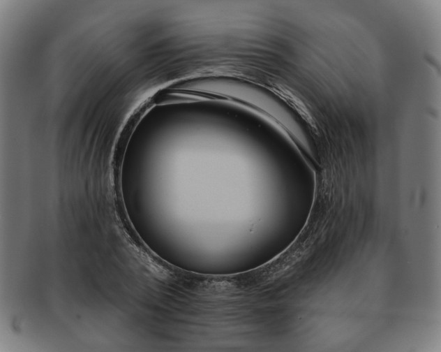 X0000091700784200708311052